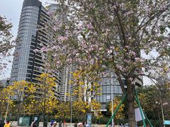 -洲头咀公园