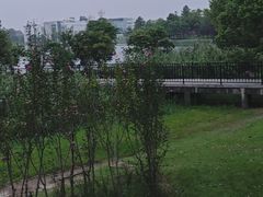-美兰湖景区