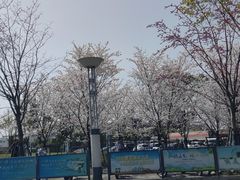 -苏州太湖假日酒店