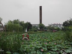 -茯茶镇