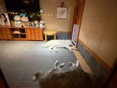 -大江户·温泉洗浴(浑南店)