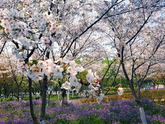 -白塘生态植物园