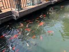 -小榄公饭店·岭南庭院餐厅(民安北路店)