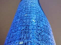 -安徽广播电视台