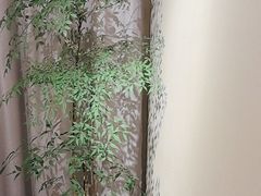 -羊门客在·烤盐池滩羊·川菜