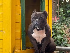 -上海崇明金茂凯悦酒店