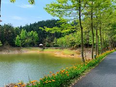 -千岛湖龙川湾