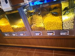 -奥黑尔国际机场