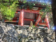 -北京鹫峰国家森林公园