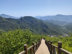 -大岭沟猕猴桃谷风景区