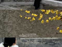 -西安化觉巷清真大寺