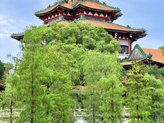 -顺峰山公园