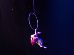 -珠海横琴长隆《卡卡虎奇遇记》