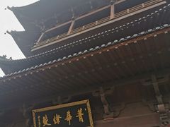 -杭州半山国家森林公园