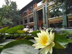 -那家山城(樱桃园店)