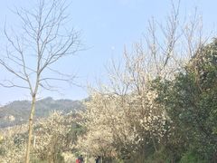 -樱桃山旅游景区