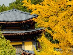 -洛阳白云山景区