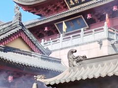-上海东林寺(金山区)
