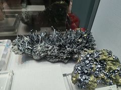 -湖南省地质博物馆