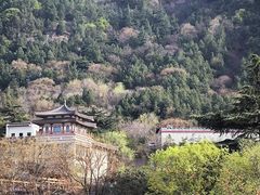 -华清宫景区