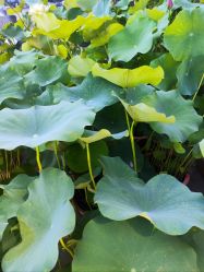 -今日陶艺(富力广场店)