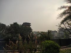 -美的鹭湖森林度假区