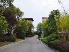 -上海崇明金茂凯悦酒店