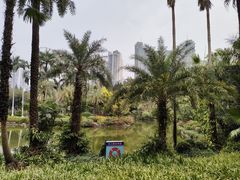 -广州珠江公园
