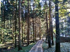 -庐山风景区花径公园