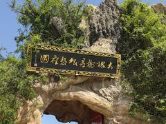 -大槐树寻根祭祖园