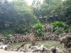 景点-伯先公园