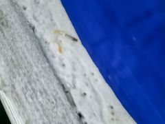 -乔波室内滑雪场