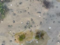 -东戴河风景区-止锚湾