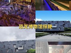 -广东省博物馆