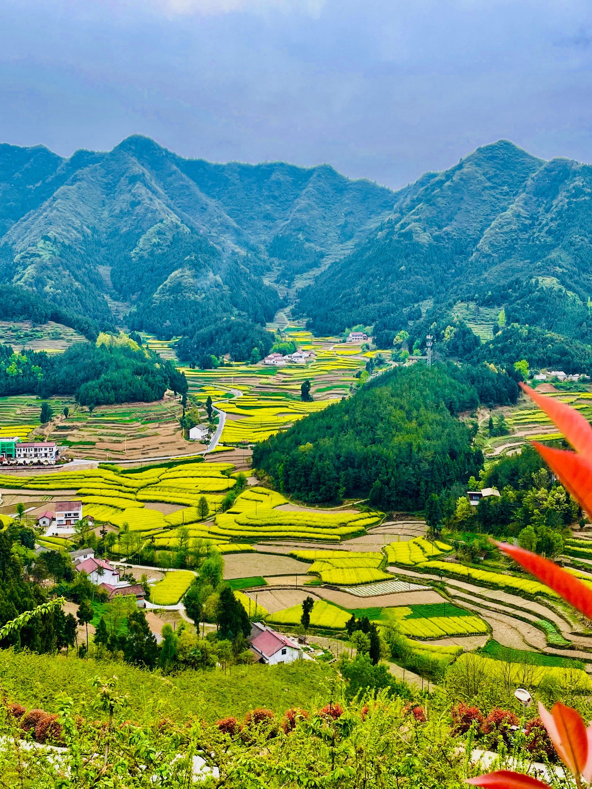 勉县漩水坪梯田