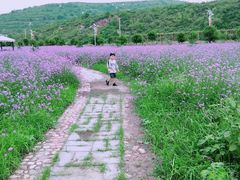 -红石沟生态休闲农场
