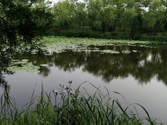 -日照海滨国家森林公园