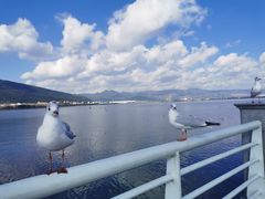 -海埂大坝