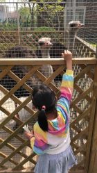 -萌宠亲子动物乐园(槐房万达店)