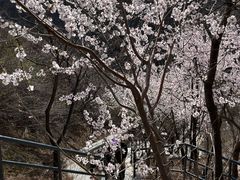 -古崖居风景名胜区