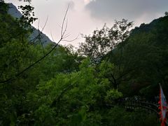 -宁波五龙潭景区