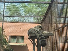 -青藏高原野生动物园