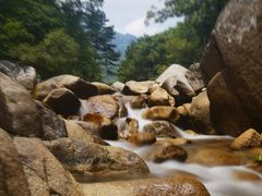-秦岭风景区