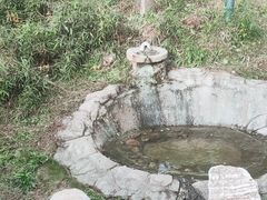 -栾川竹海野生动物园