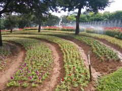 -松山湖南湖湾露营营地