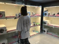 -lincat·猫舍(广州店)