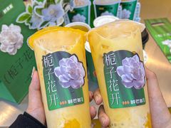 -鲜芒多·杨枝甘露(摩尔城A座10楼店)