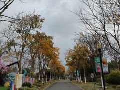 -上海浦江郊野公园·1号停车场