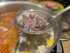 -手选潮汕鲜活牛肉火锅(二七广场店)