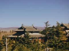 -洛阳白马寺